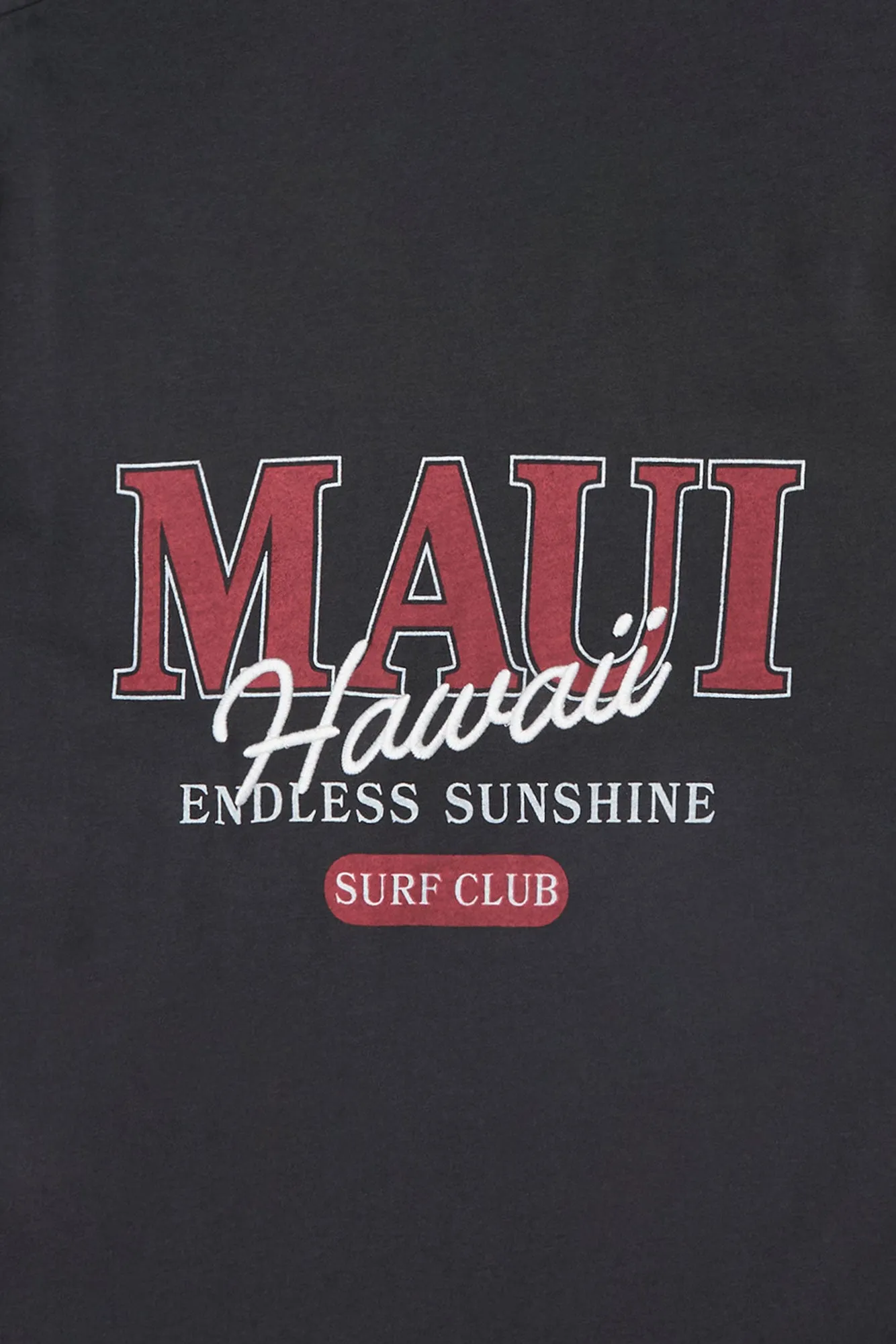 AERO Maui Graphic Classic Tee