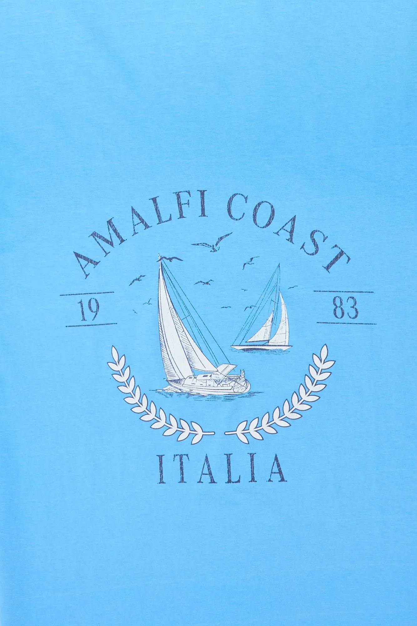 Amalfi Coast Graphic Boyfriend Tee