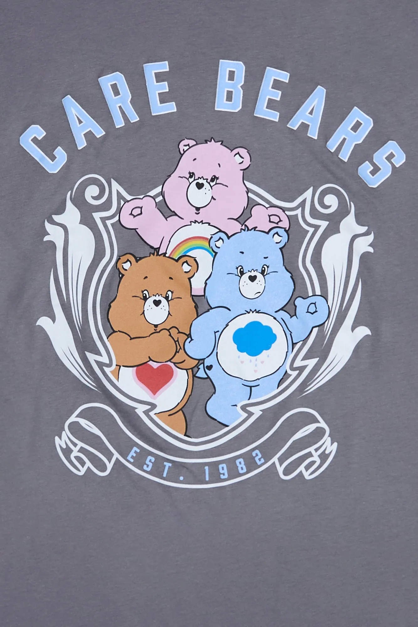 Care Bears Graphic Puff Print Relaxed Tee