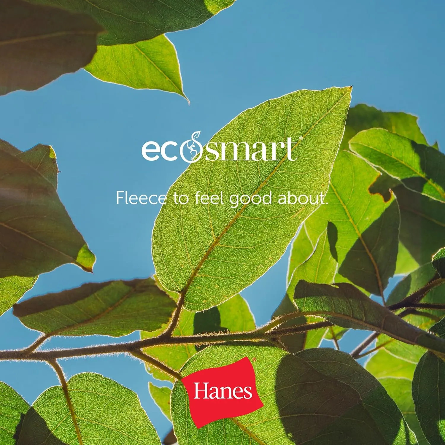 Hanes Women's Sweatpants, EcoSmart Fleece Joggers, Pocketless Cinched Leg Sweatpants for Women, 30"
